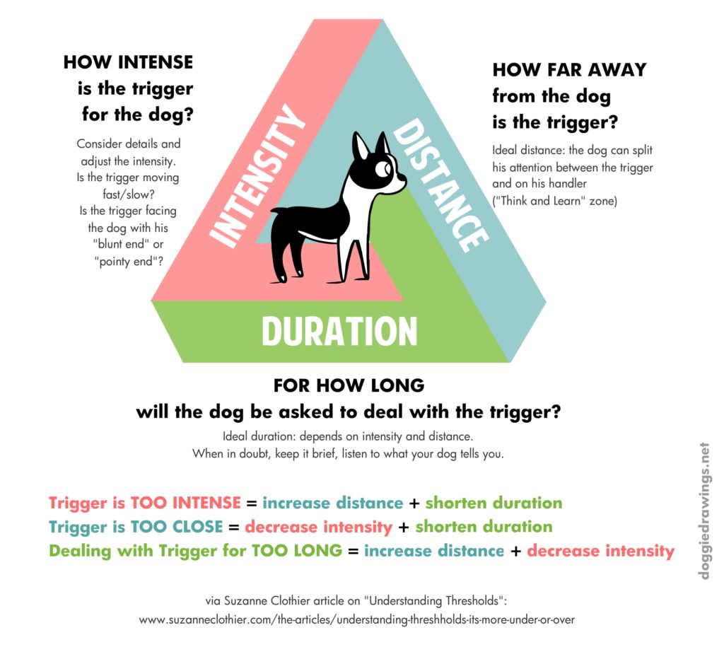 how can i desensitize my dog to other dogs